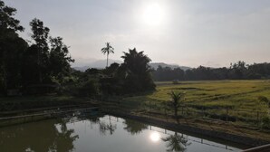 A tranquil outdoor scene with a water body, a wooden fence, and a distant view of a rice field under a clear sky. - Guesthouse Beluru (Kuala Kangsar)