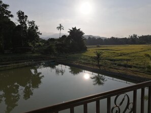 Outdoor pool - Guesthouse Beluru (Kuala Kangsar)
