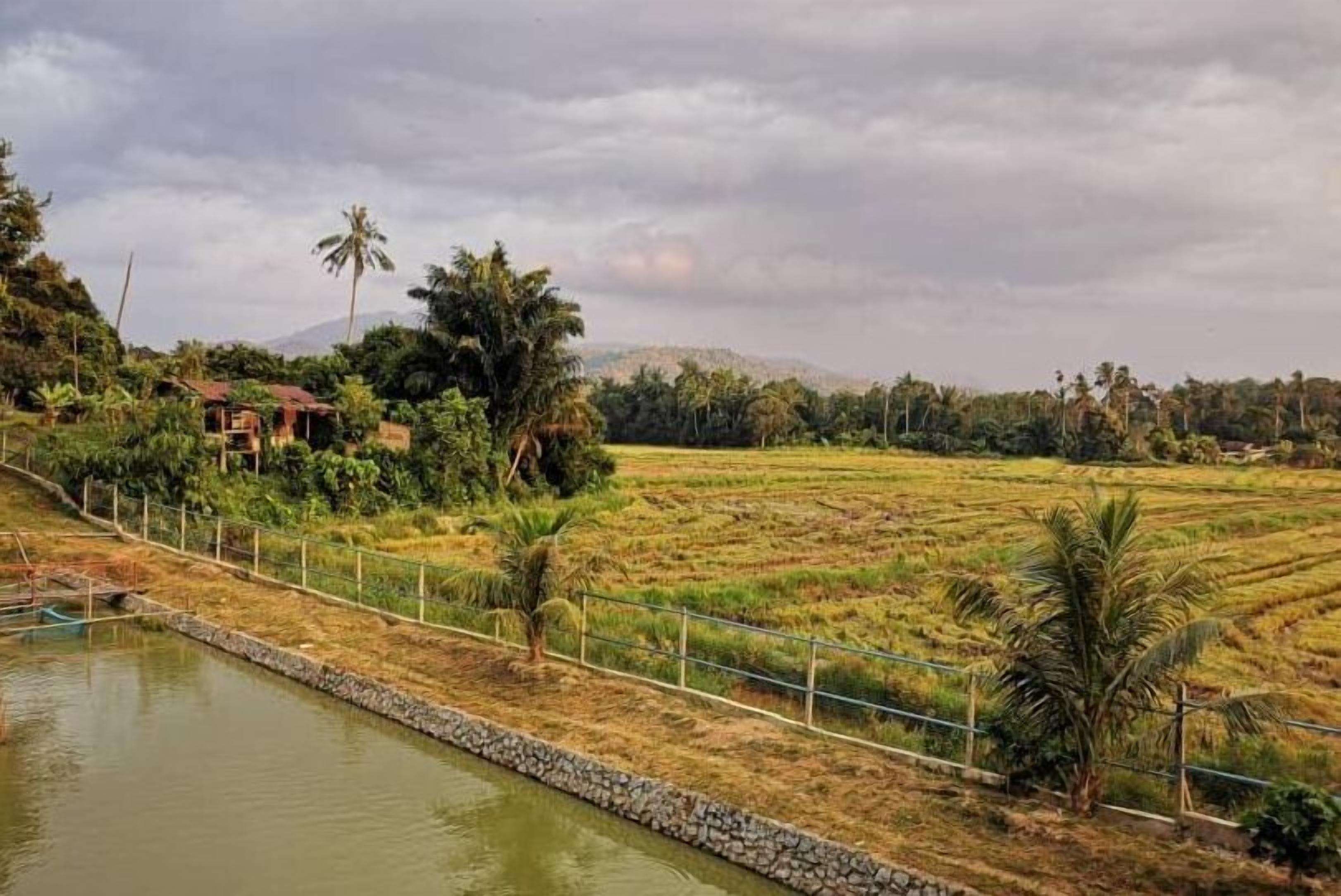 Khuôn viên nơi lưu trú