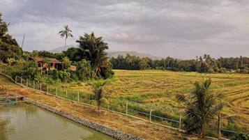 Khuôn viên nơi lưu trú