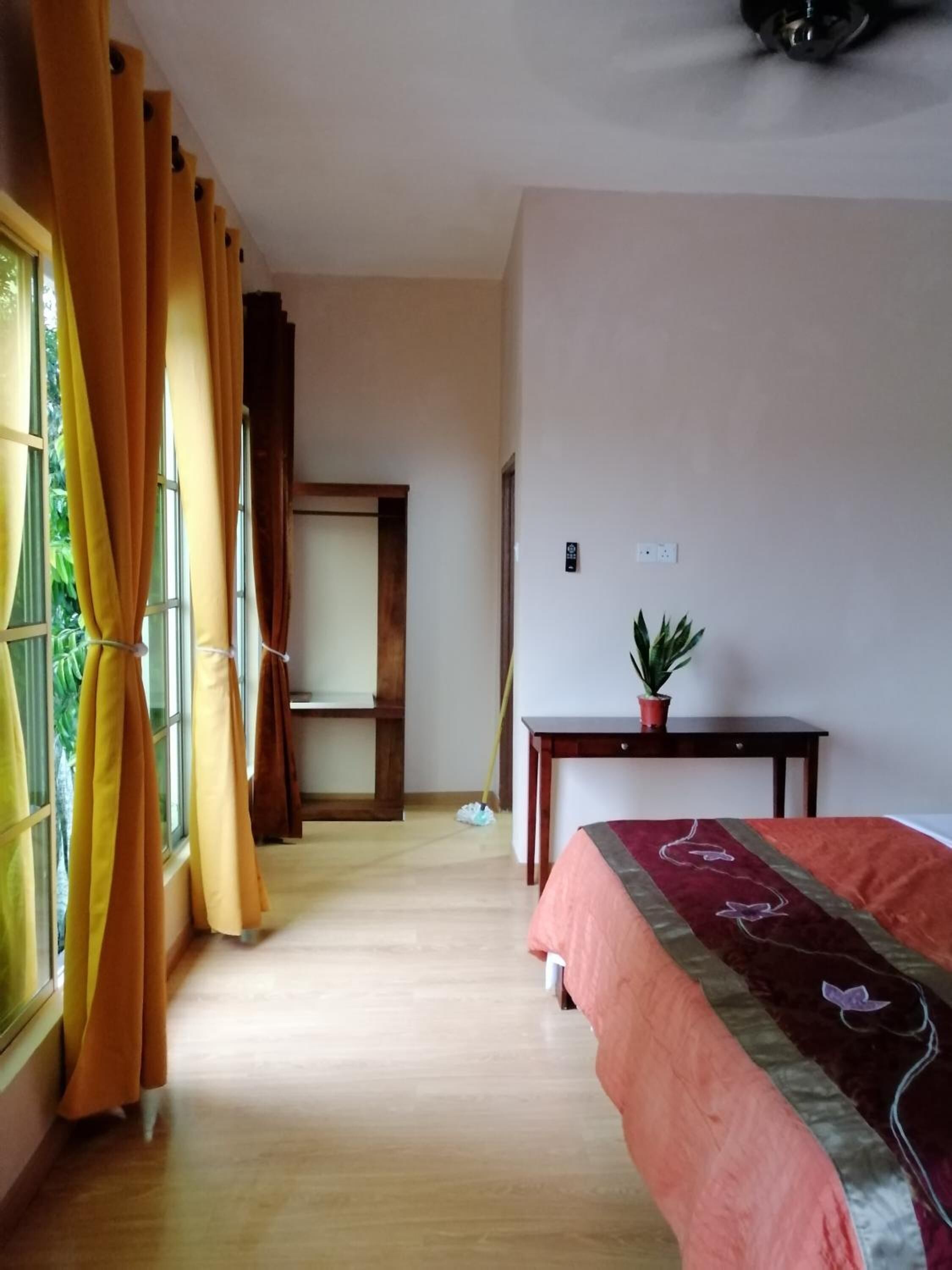 A room with a bed, a desk, a potted plant, and curtains.