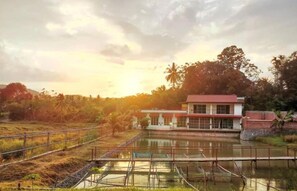 Property grounds - Guesthouse Beluru (Kuala Kangsar)