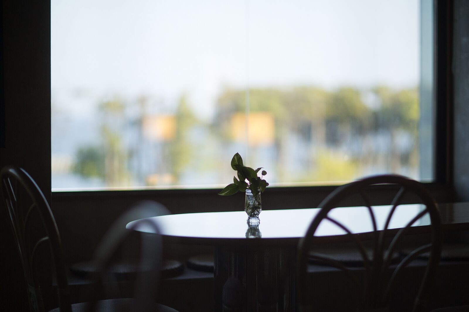 A table with a vase of green plants in front of a window with a blurred cityscape view.