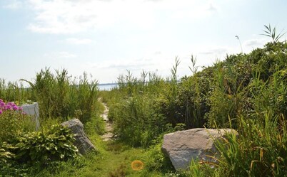 Seaside Cottage Steps to Beach/Close to Ferry to Martha's Vineyard & Nantucket