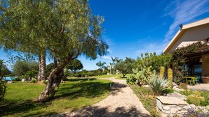 Ein gepflasterter Weg führt zu einem Gebäude mit einem Garten, der Kakteen und blühende Pflanzen zeigt.
