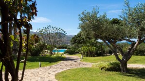 A stone pathway leading through a well-maintained garden with various trees and shrubs.
