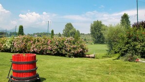 A grassy field with a red cylindrical object, possibly a barrel, in the foreground. - Nice apartment for 6 guests with WIFI, pool, A/C, TV, balcony and pets allowed (Salò)