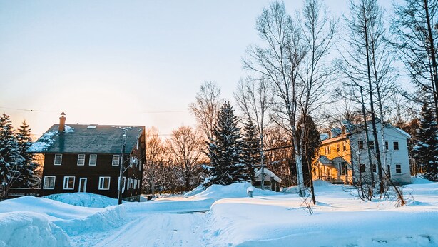 A residential area with snow-covered ground, houses, and leafless trees. - Chalet Banff (Niseko)