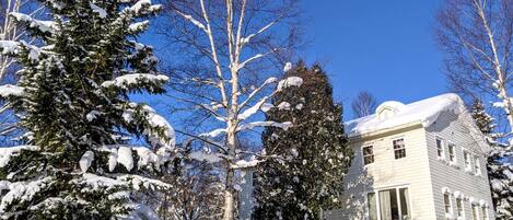 واجهة المنشأة