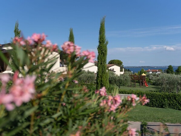 A residential area with houses, a playground, and a view of the sea.