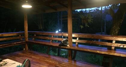 Live like your own land