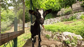 Áreas de la propiedad