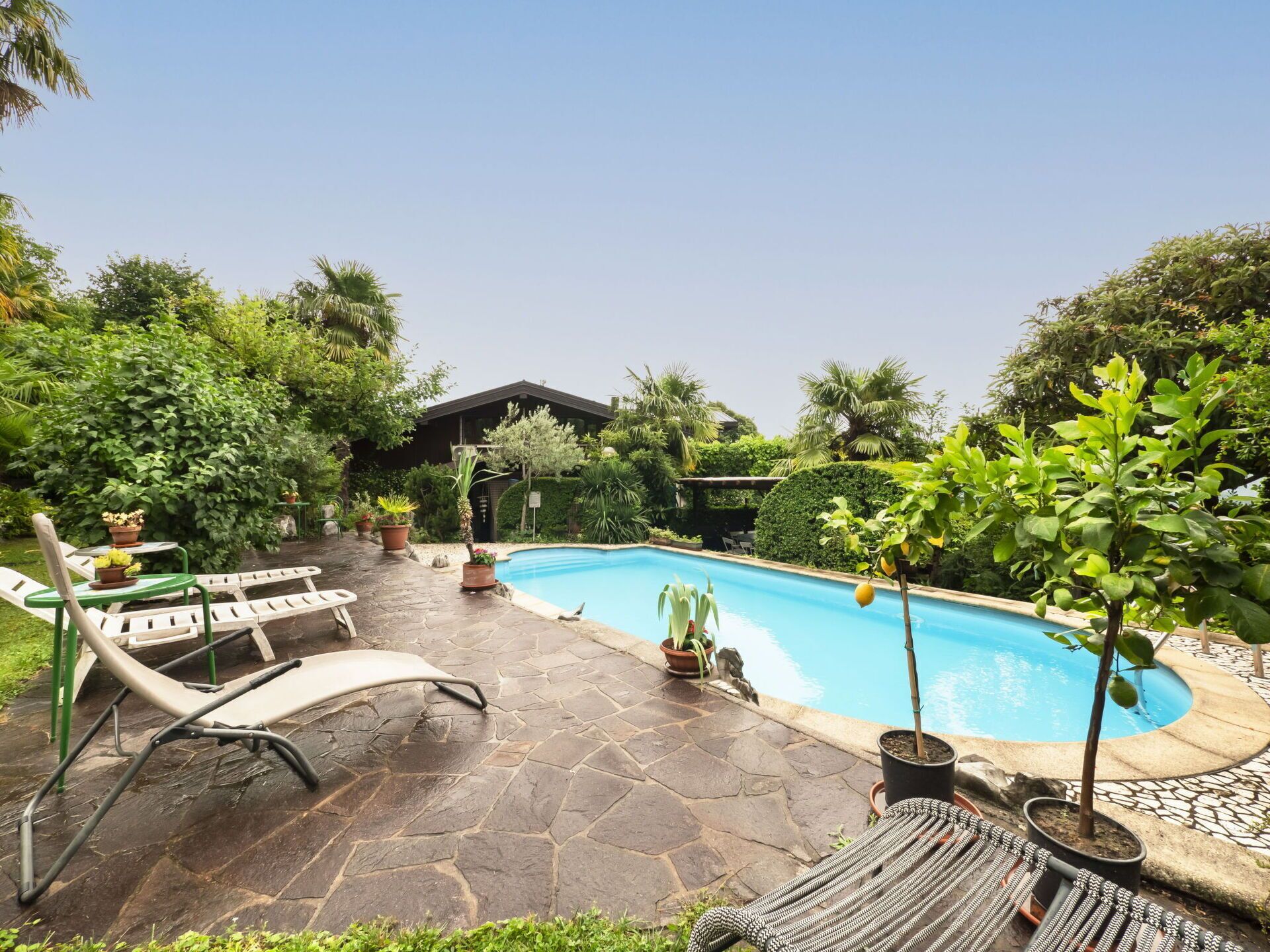 L'Eau, Plante, Ciel, Piscine, Bâtiment, Arbre, Ombre, Mobilier De Jardin, Loisir, Arecales