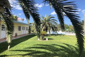 Jardim