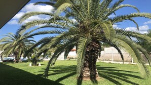 Garden - Hotel Escalante (Progreso)