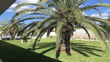 Jardín