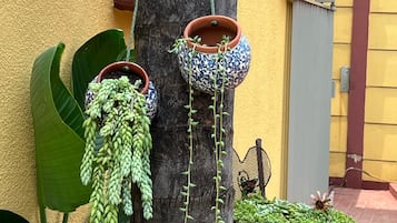 Courtyard view