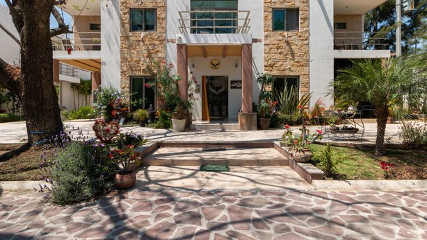 Um edifício com fachada de pedra, entrada central com uma placa e um pátio pavimentado com plantas e uma palmeira.