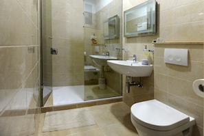 Shower, hair dryer, bathrobes, slippers