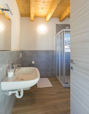 Shower, hair dryer, bidet, towels