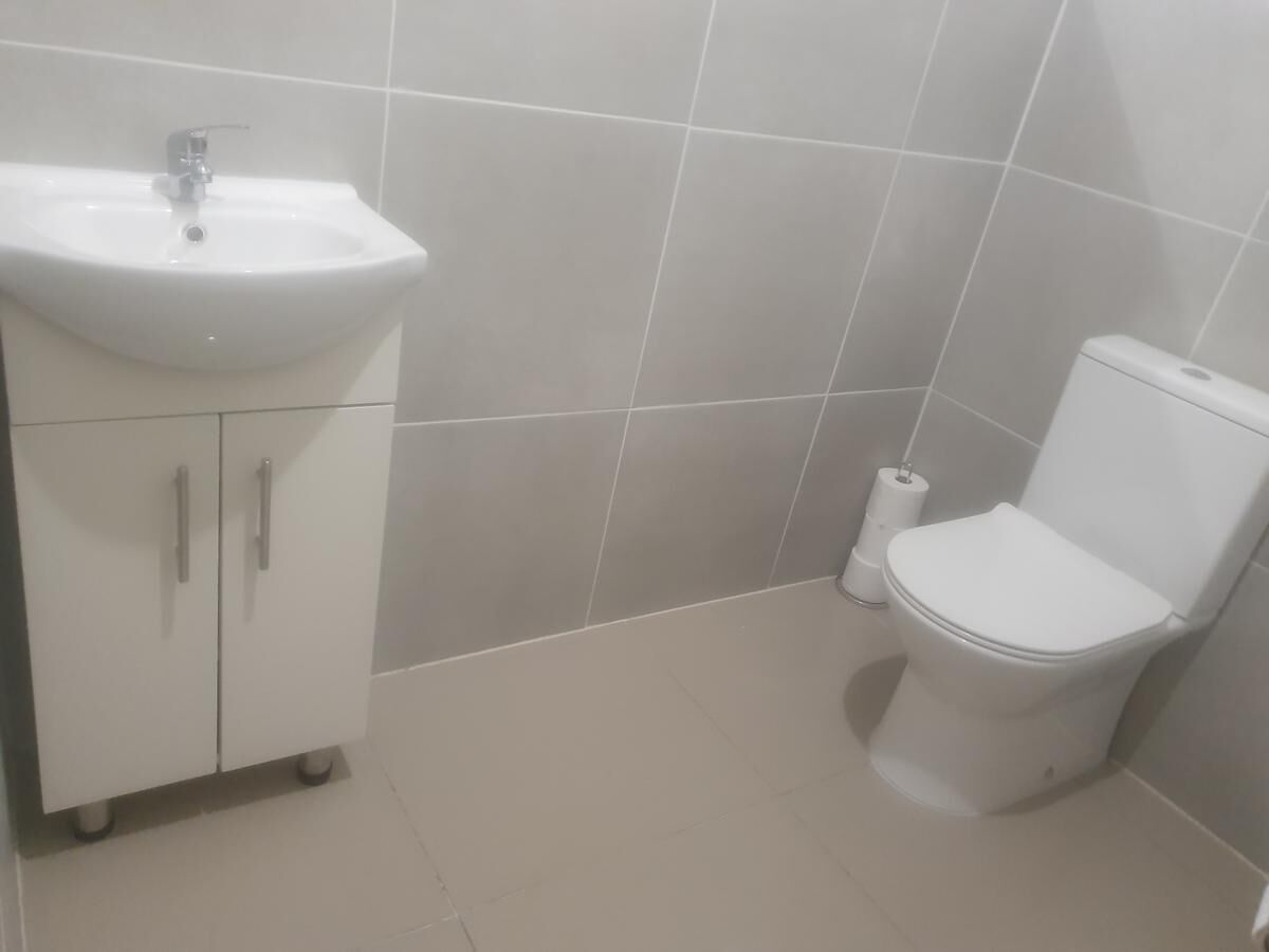 Un baño con lavamanos, gabinete, inodoro y dispensador de papel higiénico.