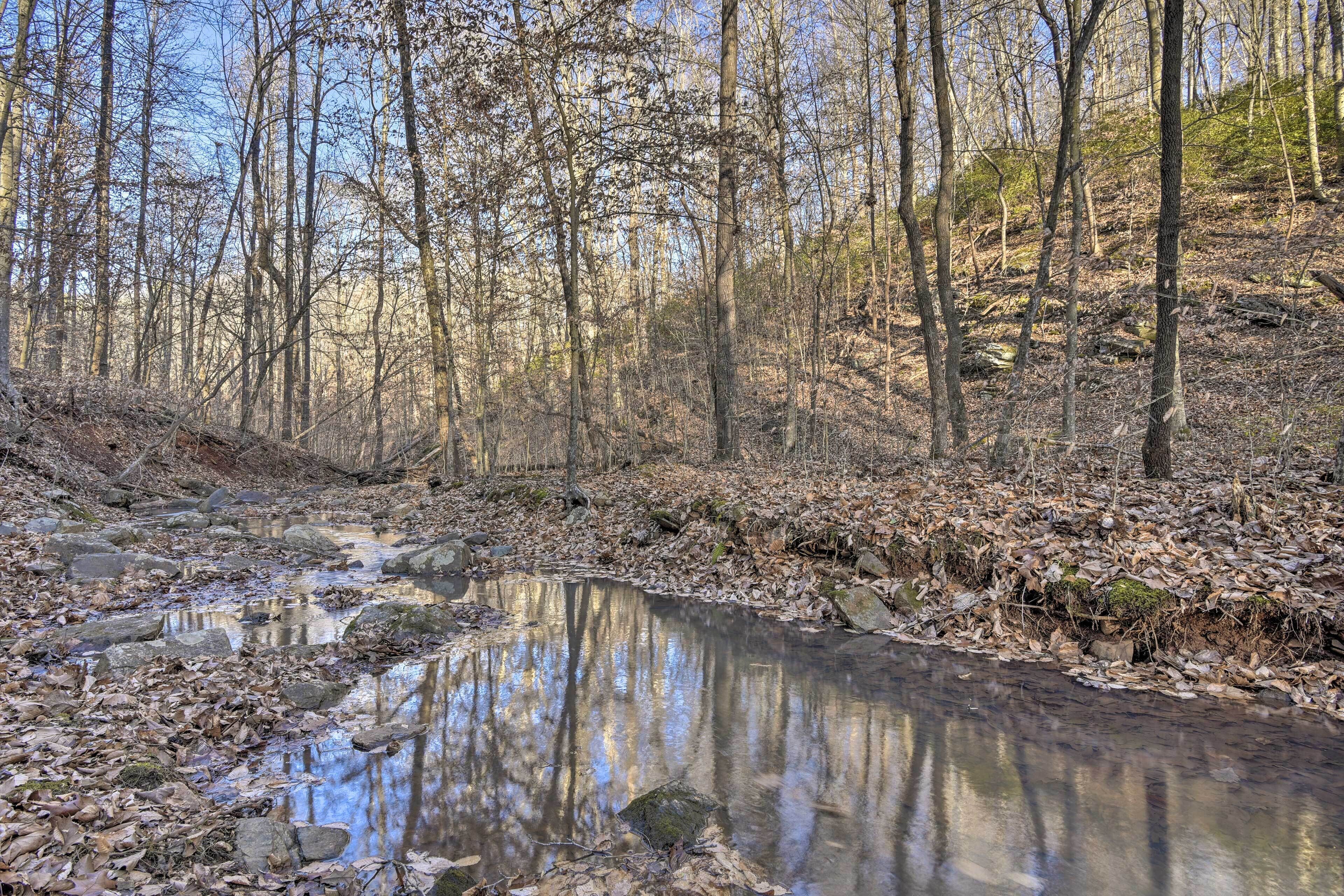 A natural landscape with a stream, trees, and a rocky bed.