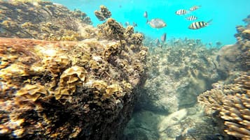 En la playa, arena blanca, kayak