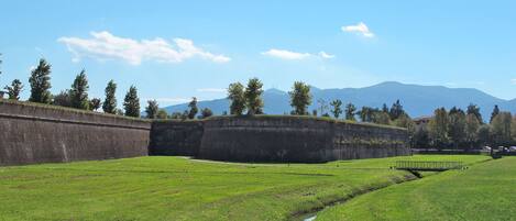 A grassy field with a small stream and a stone wall.