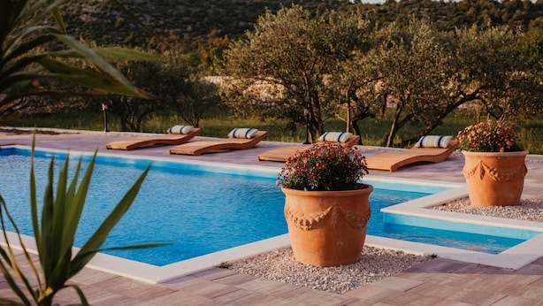 Ein Poolbereich mit Liegestühlen und Terrakottatöpfen mit Blumen.