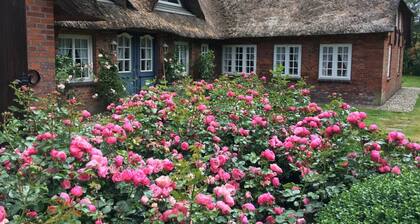 Your family and friend meeting in the 140 year old Friesenhaus