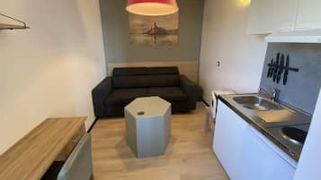 Superior Apartment | Living area | 55-cm flat-screen TV with satellite channels, TV