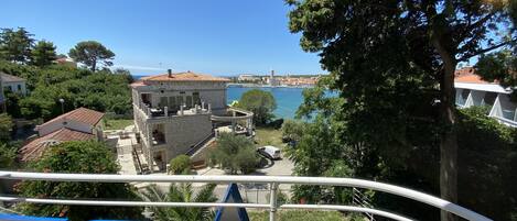 Superior Apartment | View from room