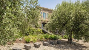 A building with a stone staircase leading to a door, surrounded by olive trees and a gravel path. - Snowshoe (Ragalna)