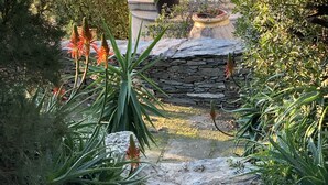 A stone pathway leading through a garden with various plants and a stone wall in the background.