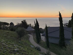 A coastal landscape with a path leading to a building with a tiled roof, surrounded by cypress trees and a small dome structure.