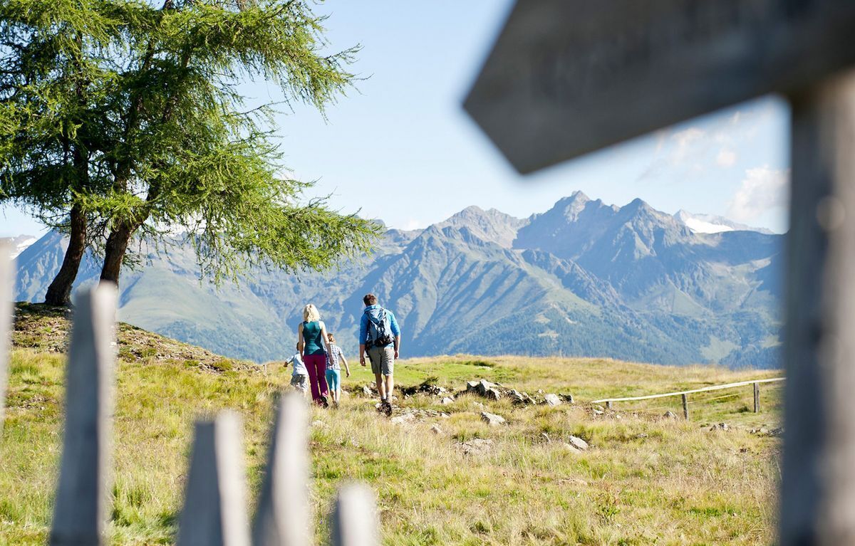 A mountain hiking trail with a clear view of snow-capped mountains in the background.