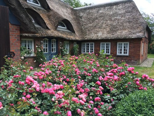 Deichglück - your place for family and friends reunions