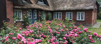 Deichglück - your place for family and friends reunions