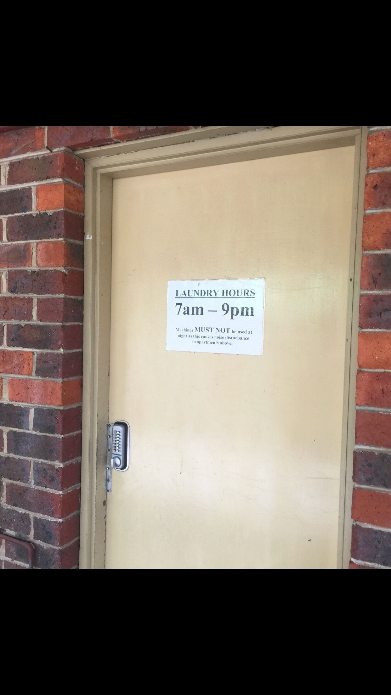 Cozy Corner M106 Studio Apartment near Kings Park — image 7