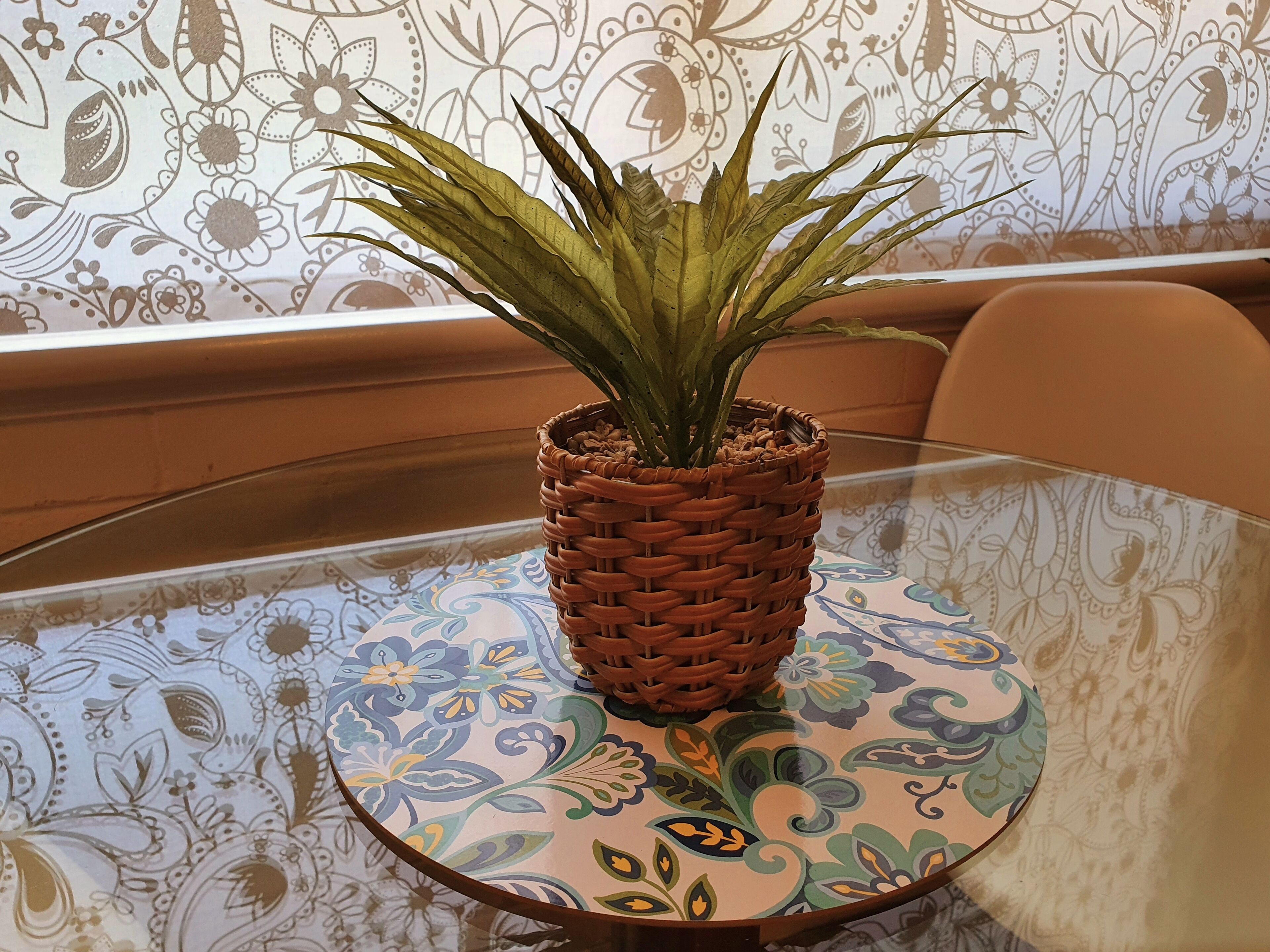 Cozy Corner M106 Studio Apartment near Kings Park — image 24