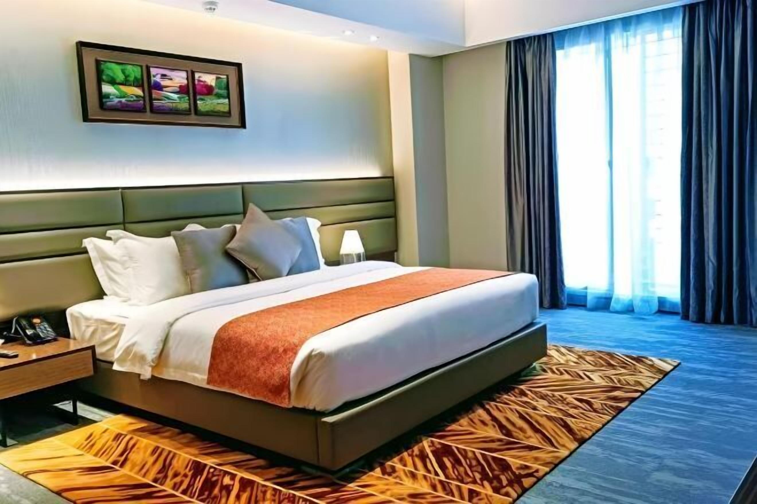 Literie hypoallergénique, couette en duvet d'oie, minibar