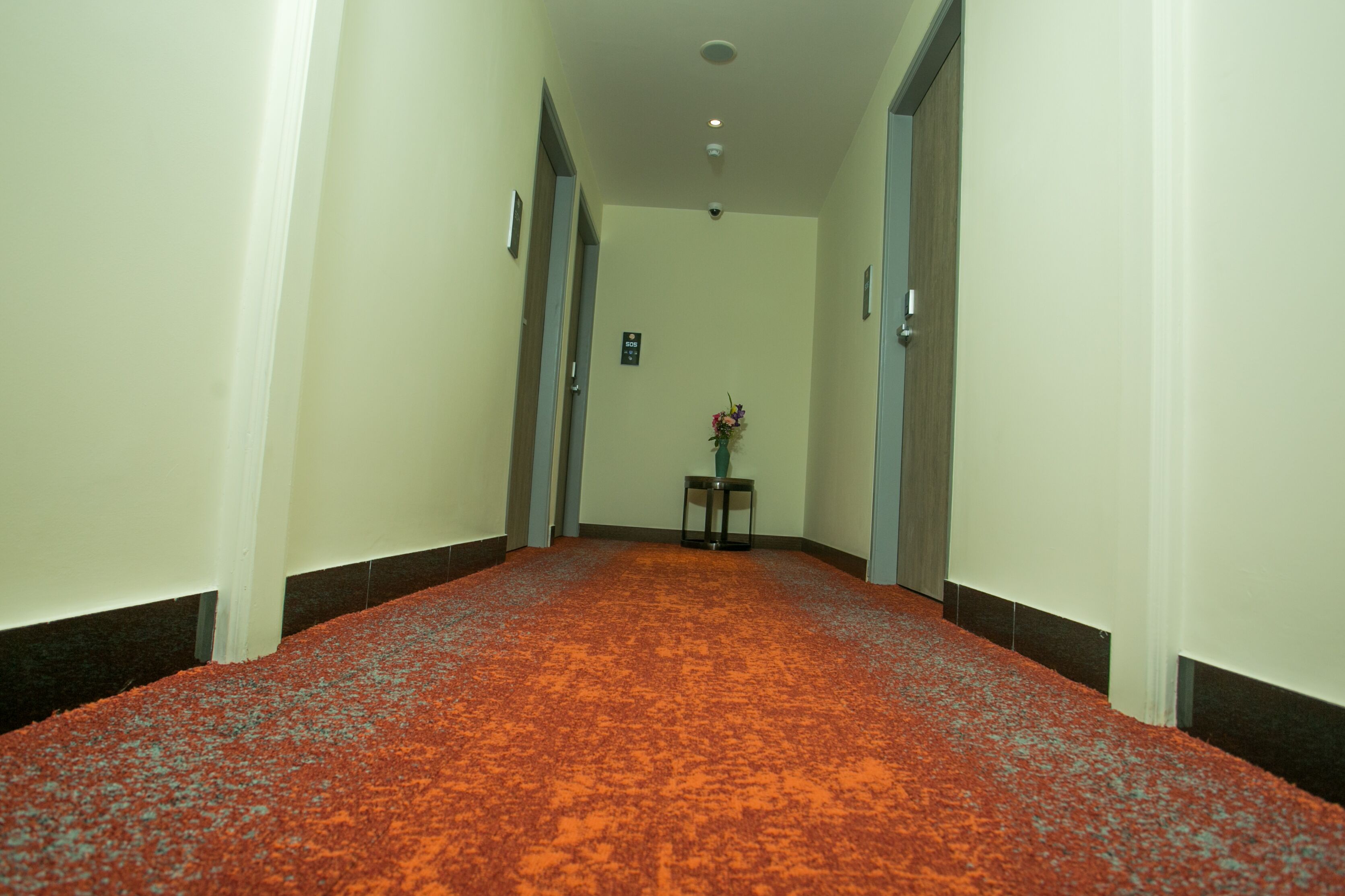 A hallway with a red carpet, white walls, and a small table with a vase of flowers.