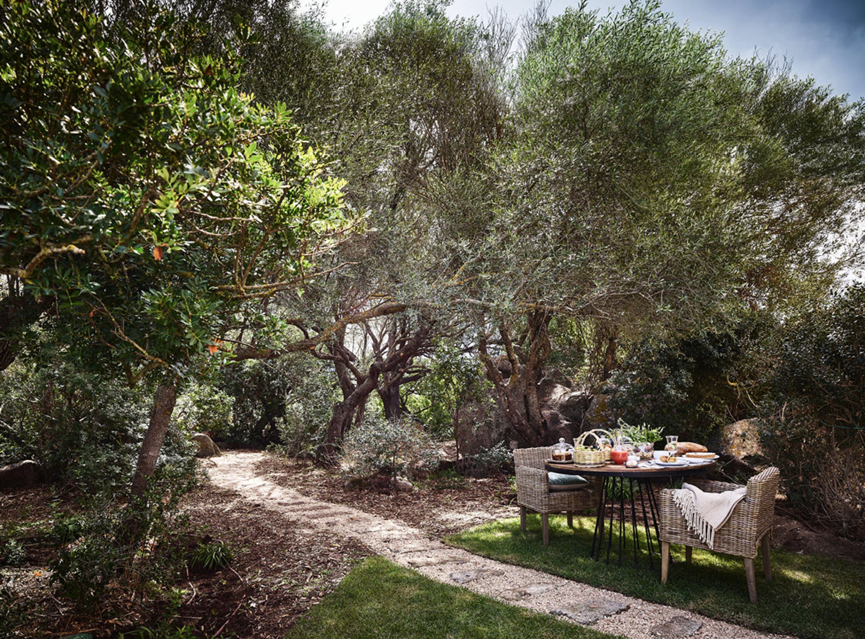 A garden with a table set for a meal, surrounded by trees and a stone path.