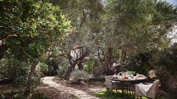 A garden with a table set for a meal, surrounded by trees and a stone path.