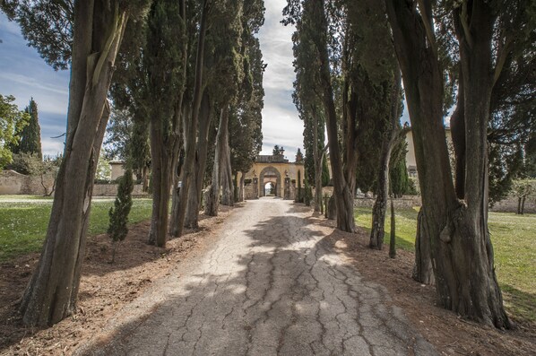 Áreas de la propiedad
