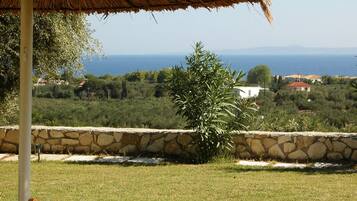 Vista des de l'allotjament