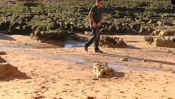 NĂ€ra stranden, solstolar och strandhanddukar