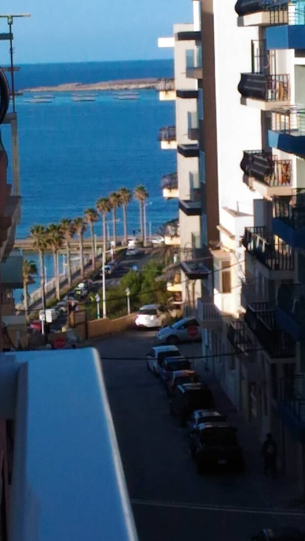 A coastal residential area with a street lined with parked cars, a row of palm trees, and a view of the sea.