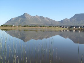 A calm lake with tall grasses in the foreground and a row of houses with a mountain range in the background.