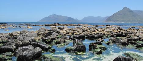 Villa, Multiple Beds | Beach